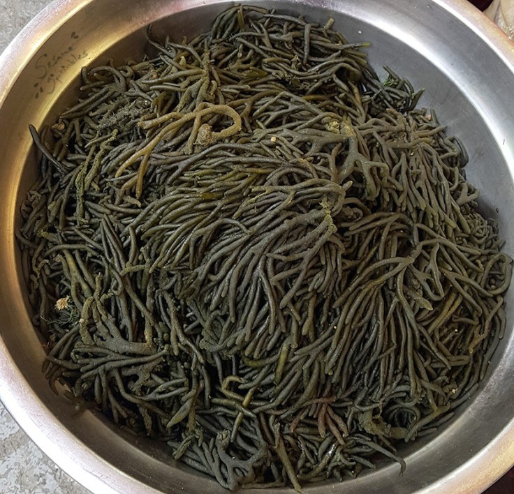 Cheonggak (청각) at a market in Seoul.